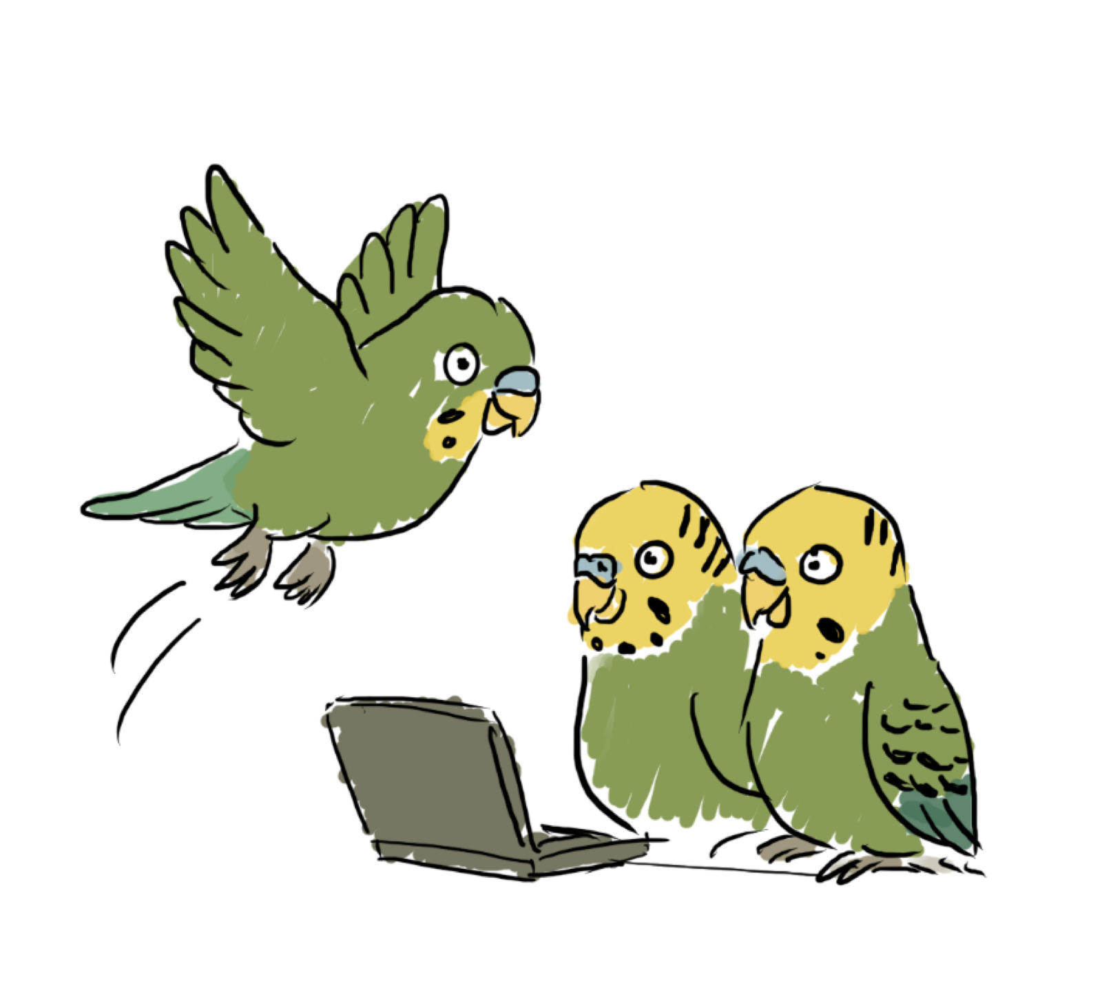 Illustration of three birds gathered around a laptop